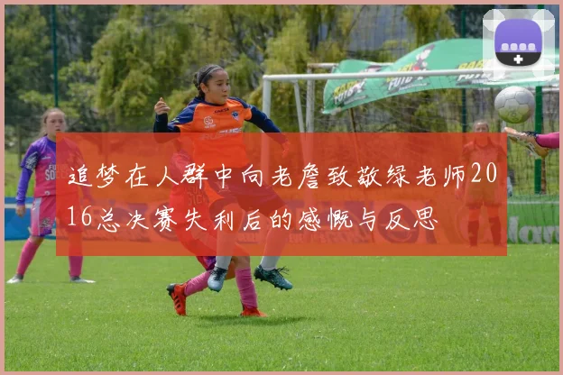追梦在人群中向老詹致敬绿老师2016总决赛失利后的感慨与反思